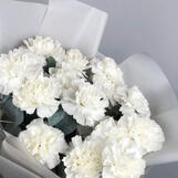 carnation (white/pink)