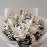 lily (white/pink)