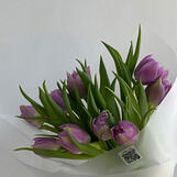 tulip (white/pink/purple)