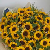 big sunflower